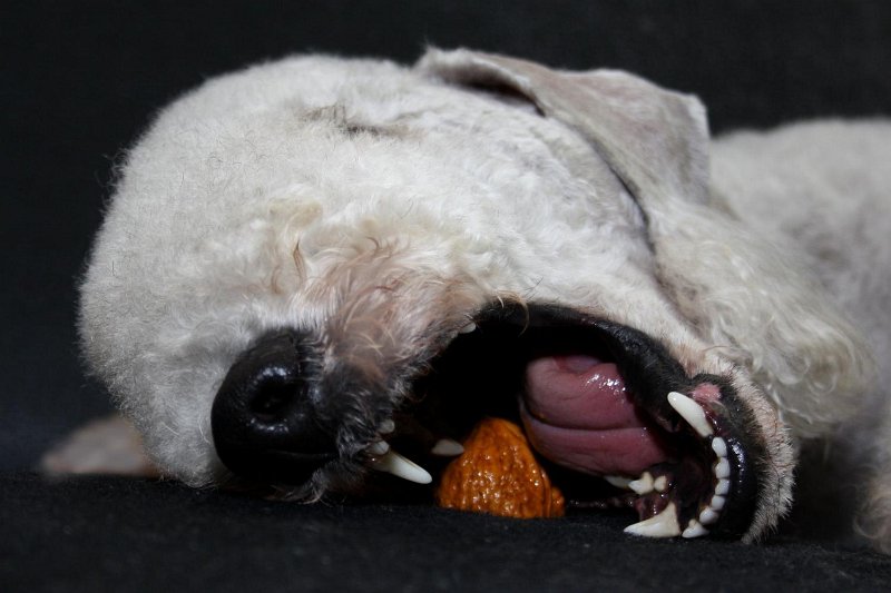 2010-11-14 Svet (6).jpg